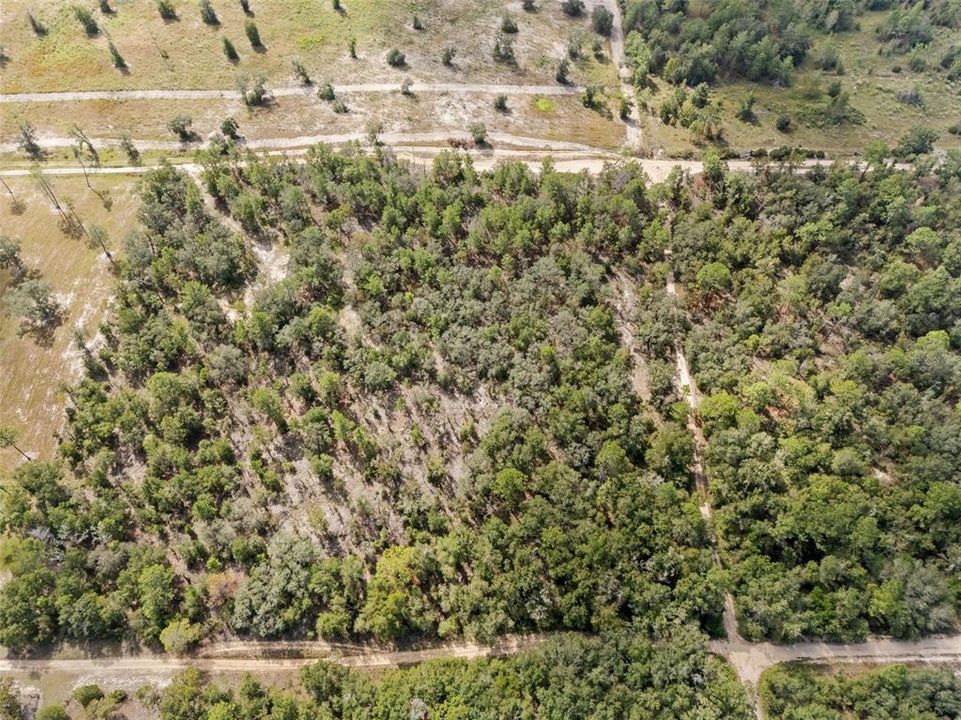 For Sale: $99,970 (5.00 acres)