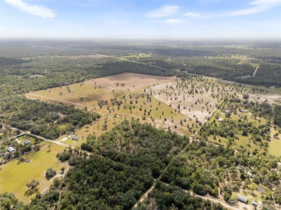 For Sale: $99,970 (5.00 acres)