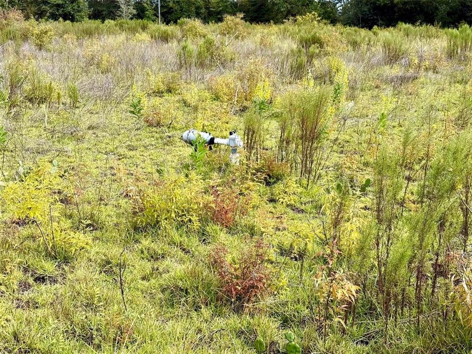 待售: $900,000 (41.81 acres)