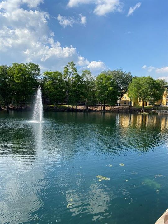 合同活跃: $1,200 (1 贝兹, 1 浴室, 735 平方英尺)