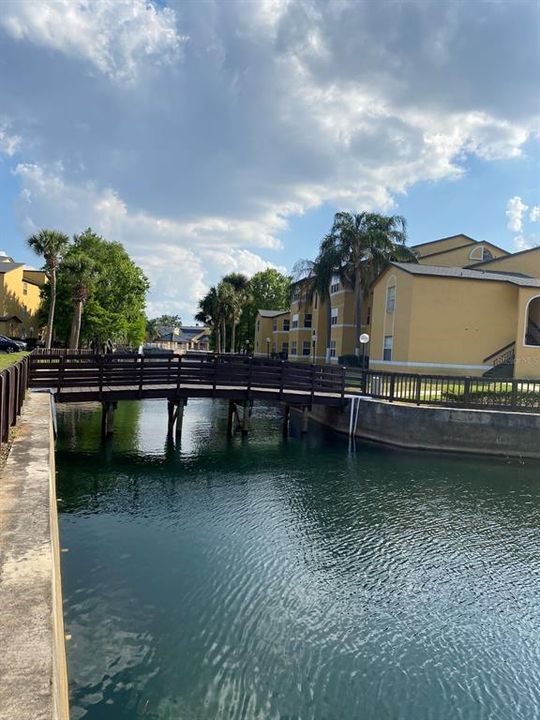 合同活跃: $1,200 (1 贝兹, 1 浴室, 735 平方英尺)