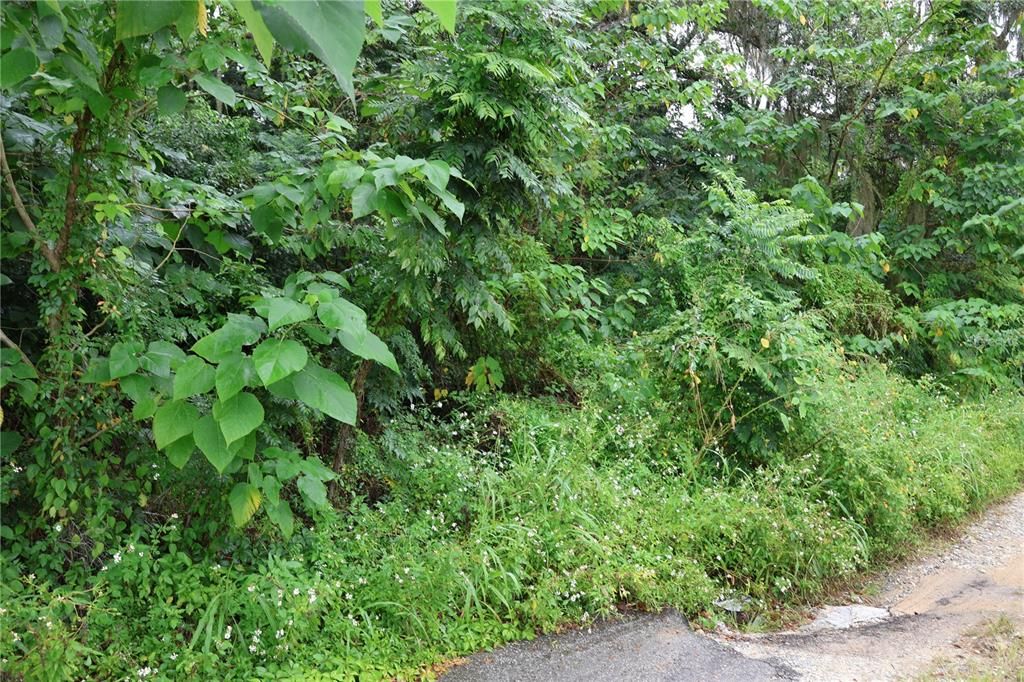 На продажу: $48,000 (0.49 acres)