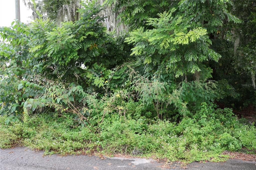 На продажу: $48,000 (0.49 acres)