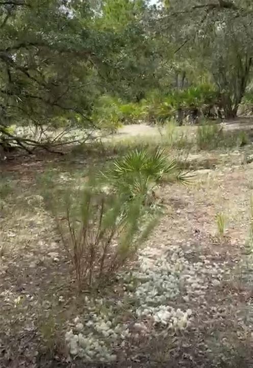 待售: $13,900 (0.50 acres)