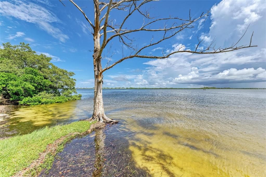 En Venta: $149,000 (1 camas, 1 baños, 540 Pies cuadrados)