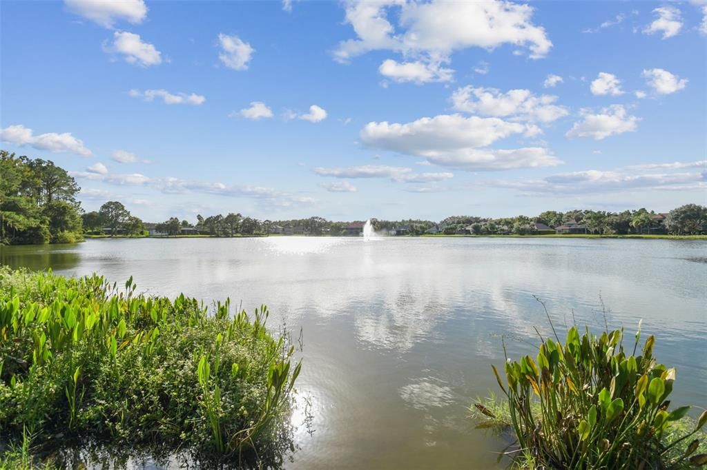 For Sale: $999,999 (5 beds, 3 baths, 3905 Square Feet)