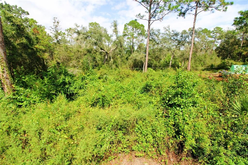 For Sale: $27,000 (0.32 acres)