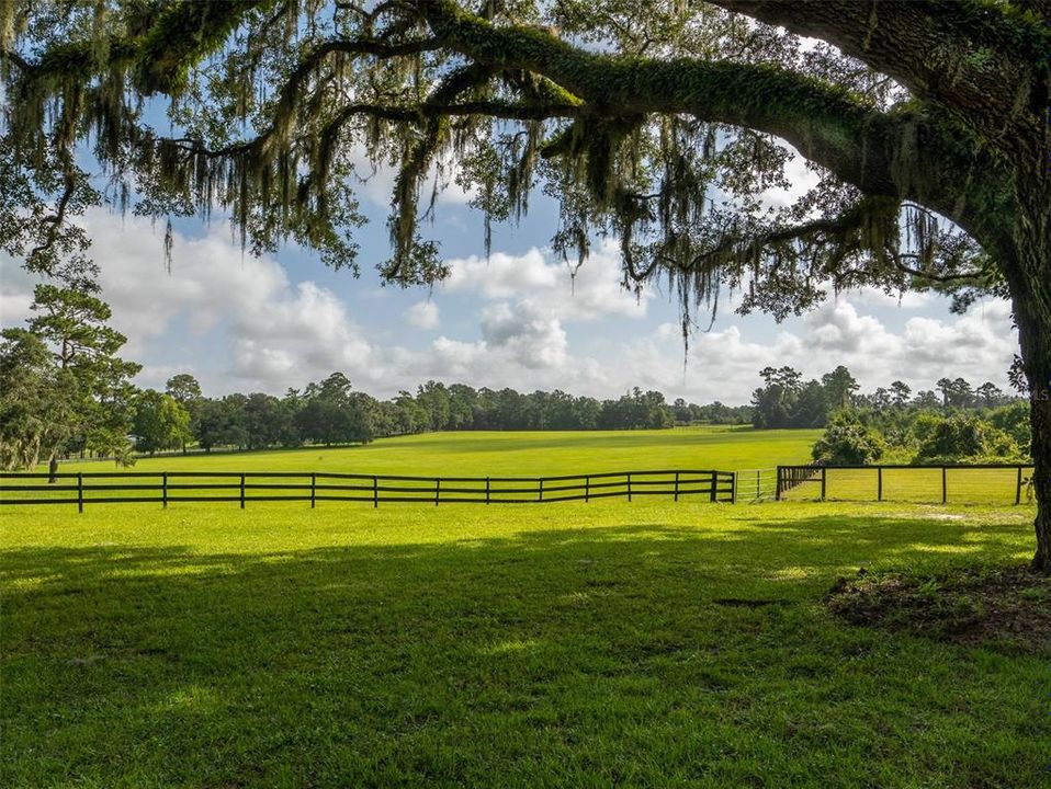 На продажу: $2,695,000 (3 спален, 3 ванн, 2987 Квадратных фут)