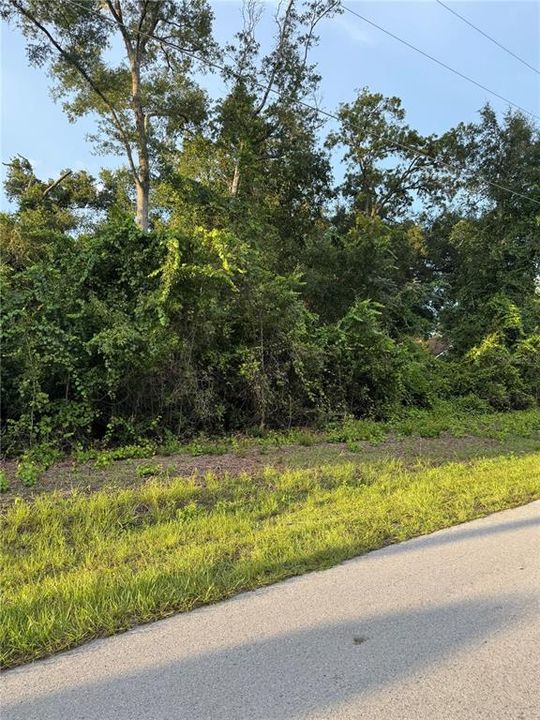 最近售出: $45,000 (0.22 acres)