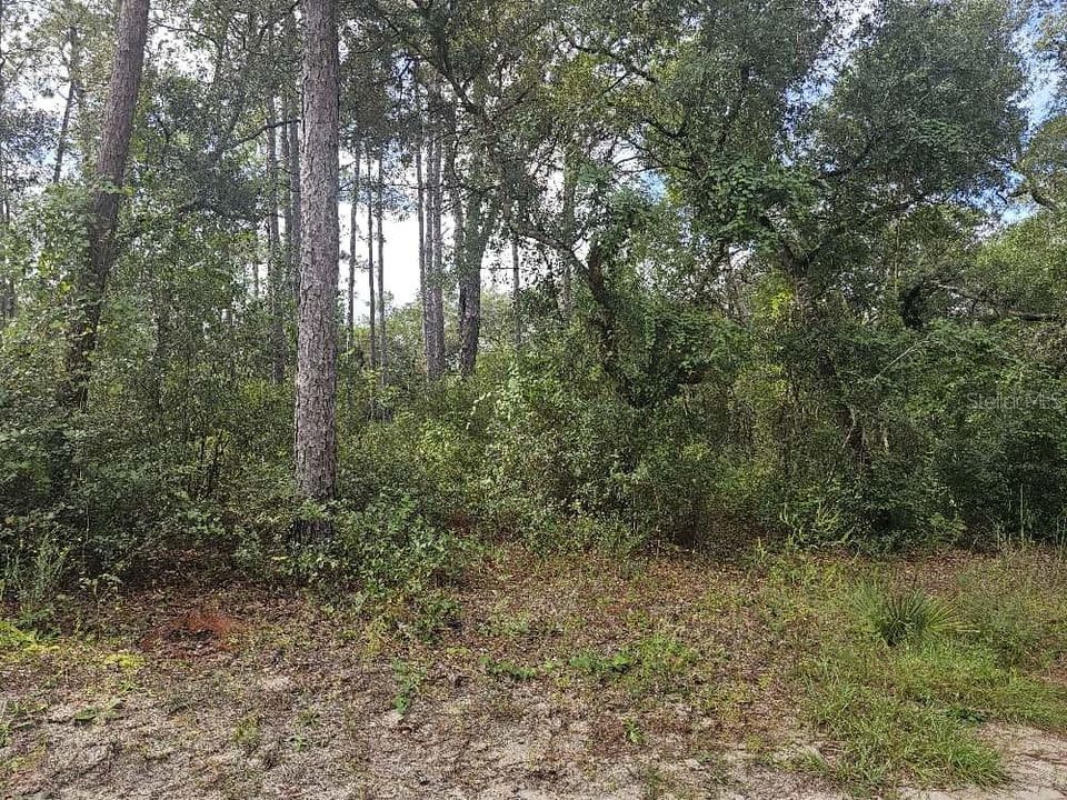 For Sale: $13,500 (0.49 acres)