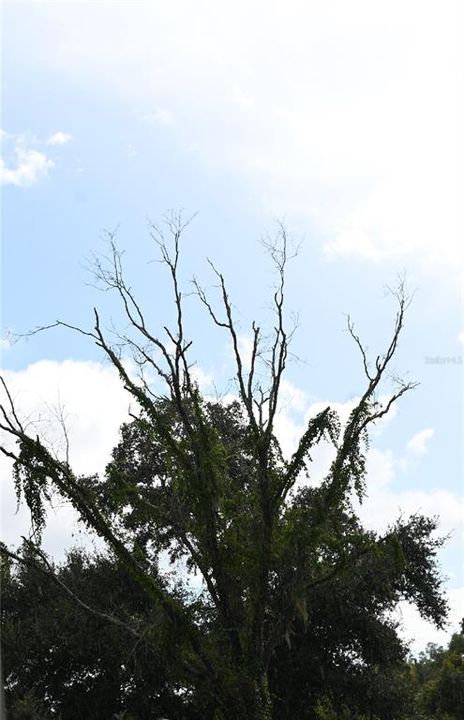 В аренду: $4,500 (3 спален, 2 ванн, 1728 Квадратных фут)