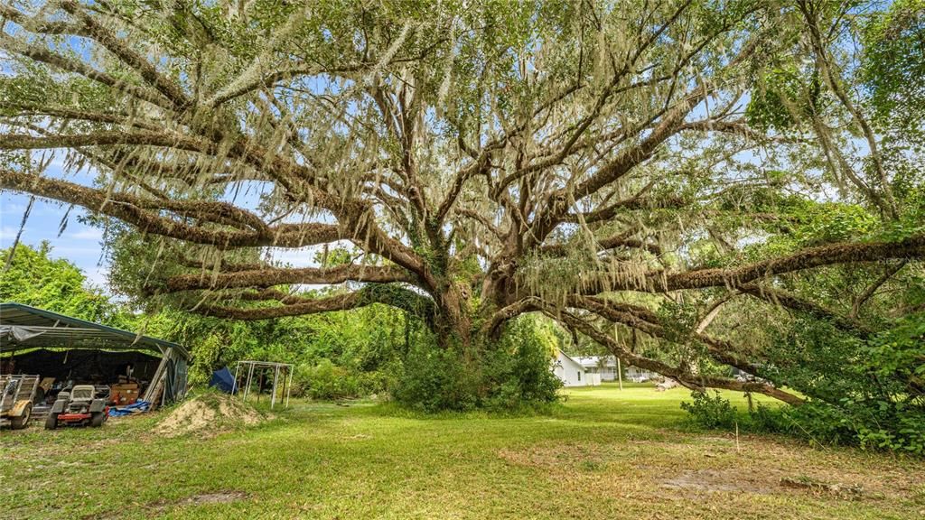 待售: $369,900 (4 贝兹, 2 浴室, 2011 平方英尺)