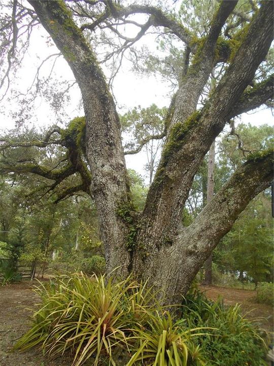 For Sale: $175,000 (3 beds, 2 baths, 1152 Square Feet)