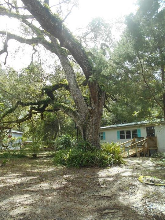 For Sale: $175,000 (3 beds, 2 baths, 1152 Square Feet)