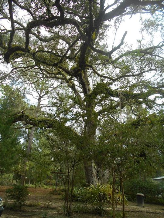 For Sale: $175,000 (3 beds, 2 baths, 1152 Square Feet)