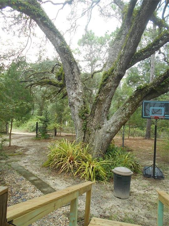 For Sale: $175,000 (3 beds, 2 baths, 1152 Square Feet)