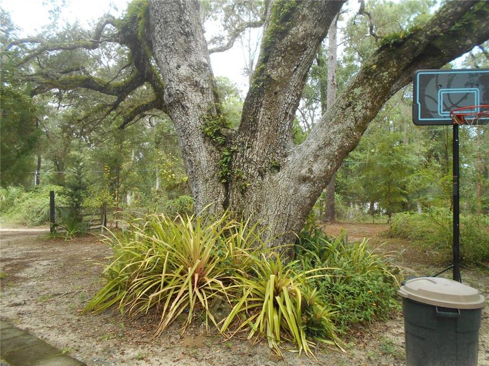 For Sale: $175,000 (3 beds, 2 baths, 1152 Square Feet)