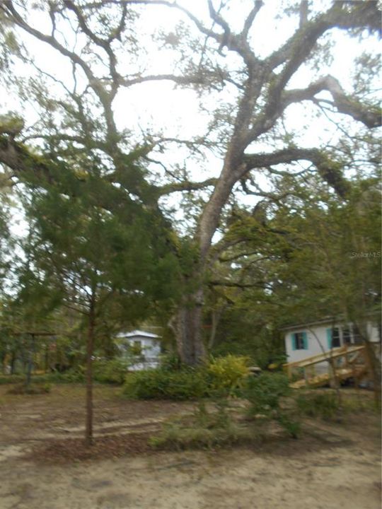 For Sale: $175,000 (3 beds, 2 baths, 1152 Square Feet)