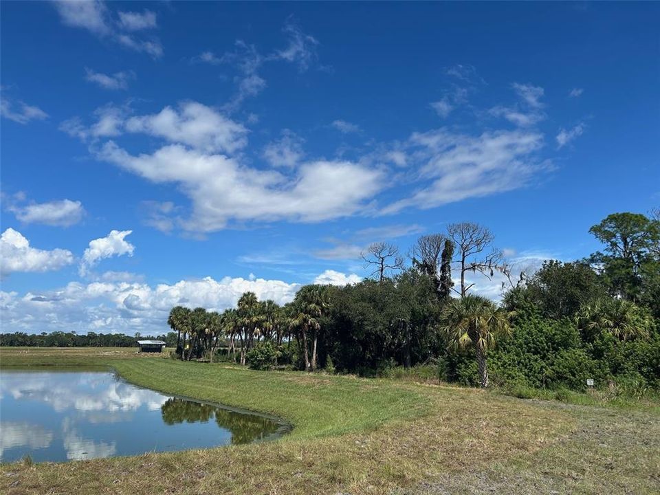 Active With Contract: $528,308 (5 beds, 3 baths, 2725 Square Feet)