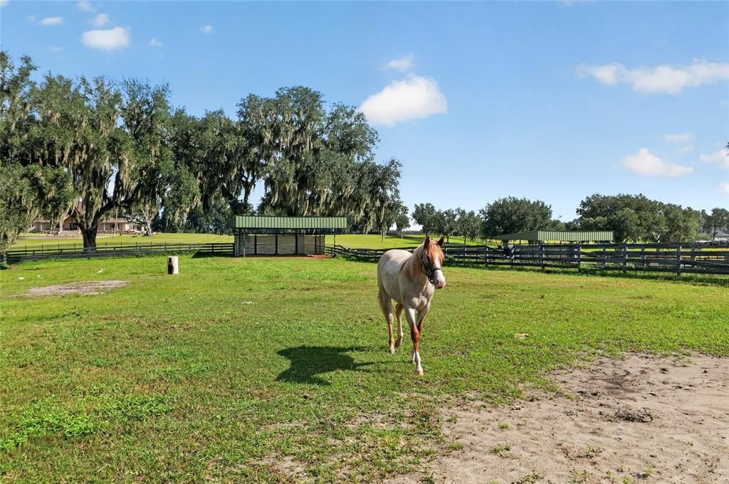 For Sale: $2,990,000 (0 beds, 1 baths, 540 Square Feet)