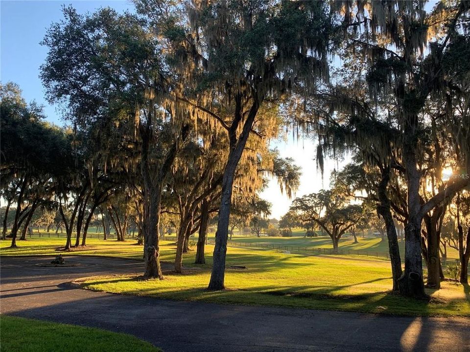 For Sale: $4,850,000 (0 beds, 1 baths, 540 Square Feet)