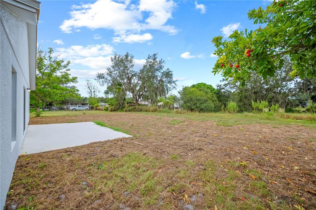 待售: $279,900 (3 贝兹, 2 浴室, 1447 平方英尺)