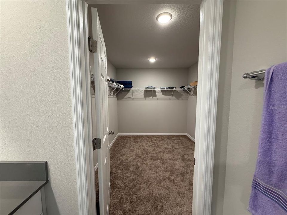 出租: $2,400 (5 贝兹, 3 浴室, 2888 平方英尺)