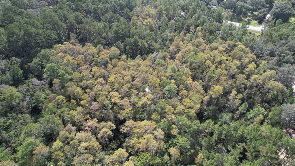 待售: $84,900 (6.33 acres)