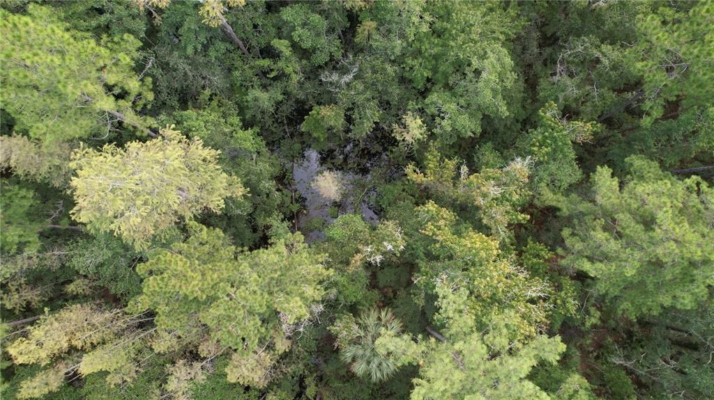 待售: $84,900 (6.33 acres)