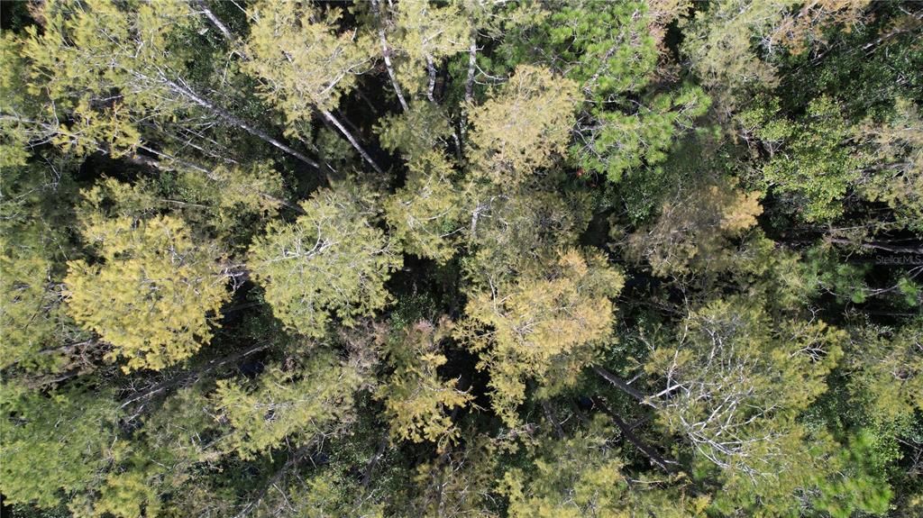 待售: $84,900 (6.33 acres)