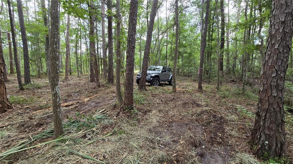 For Sale: $64,500 (6.33 acres)
