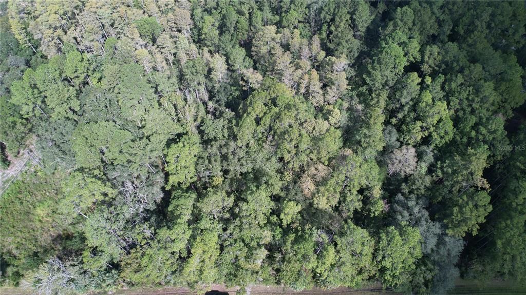 待售: $84,900 (6.33 acres)