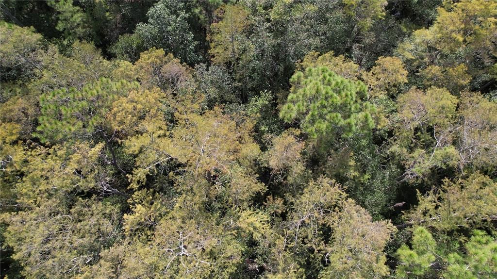 待售: $84,900 (6.33 acres)