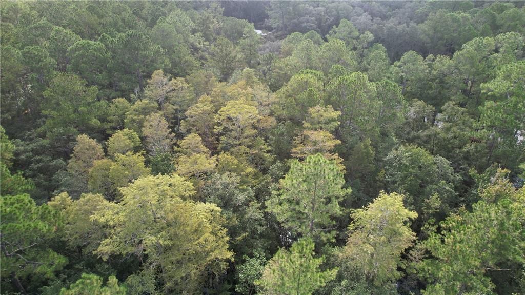 待售: $84,900 (6.33 acres)