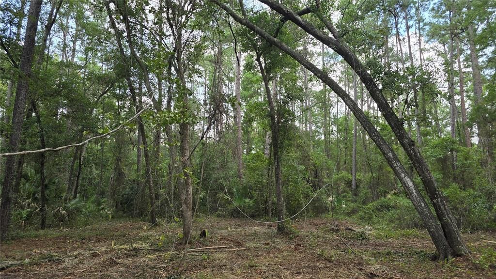For Sale: $64,500 (6.33 acres)