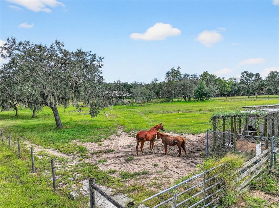 For Sale: $625,000 (4 beds, 3 baths, 1776 Square Feet)