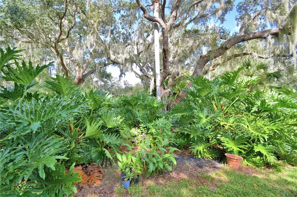 待售: $499,000 (3 贝兹, 2 浴室, 1680 平方英尺)