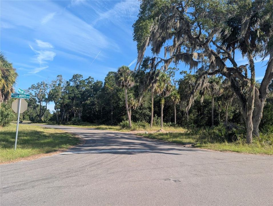 На продажу: $81,900 (1.43 acres)