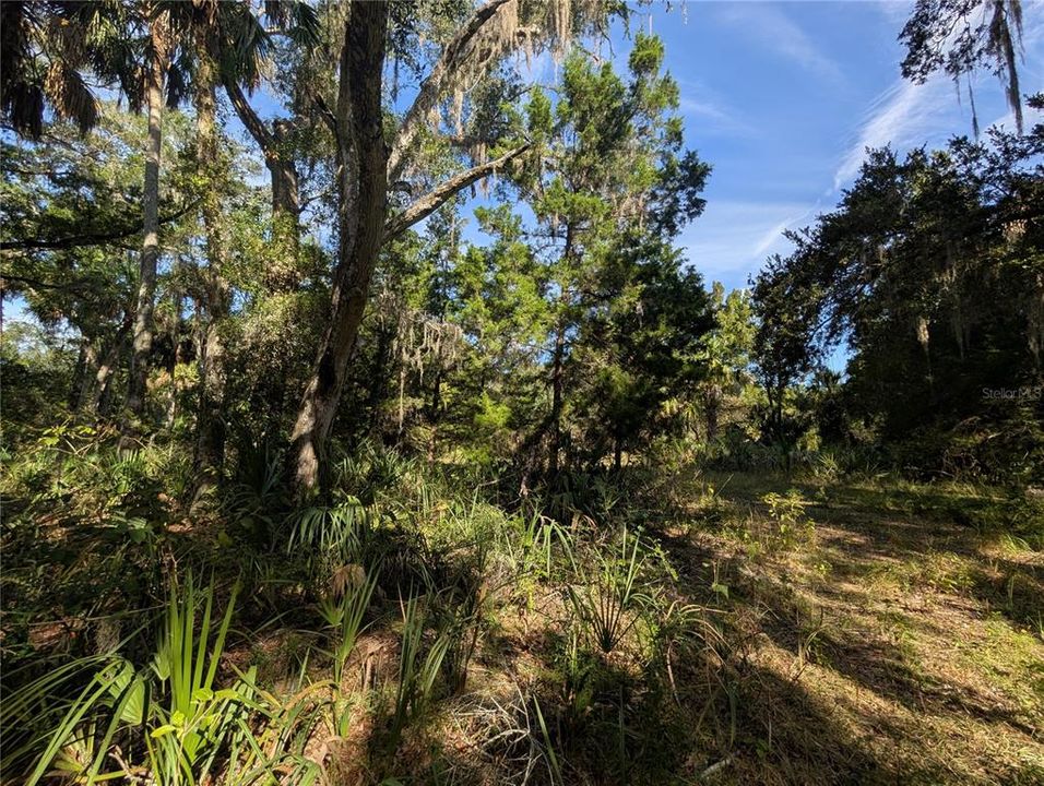 На продажу: $81,900 (1.43 acres)