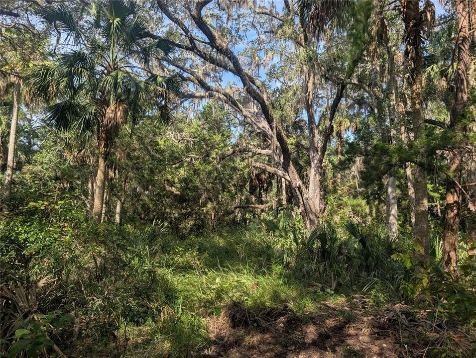 На продажу: $81,900 (1.43 acres)