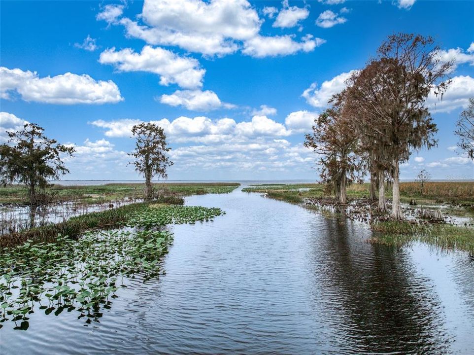 For Sale: $143,000 (0.29 acres)