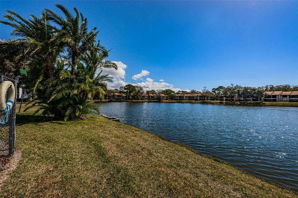 合同活跃: $3,000 (2 贝兹, 2 浴室, 1053 平方英尺)