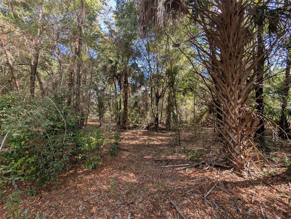 На продажу: $63,900 (2.70 acres)