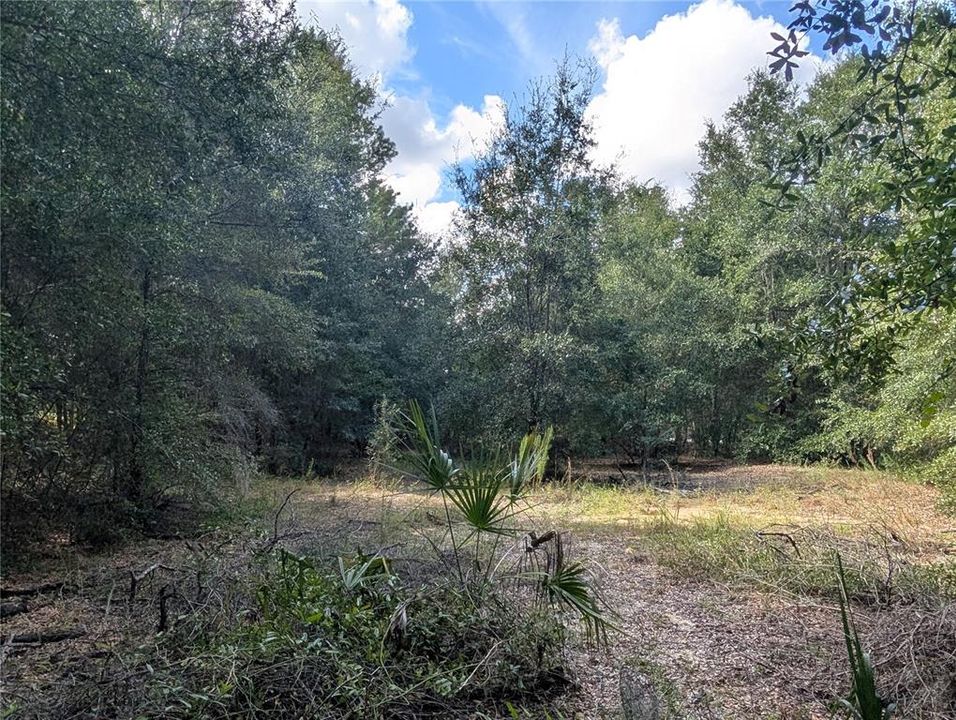 На продажу: $63,900 (2.70 acres)