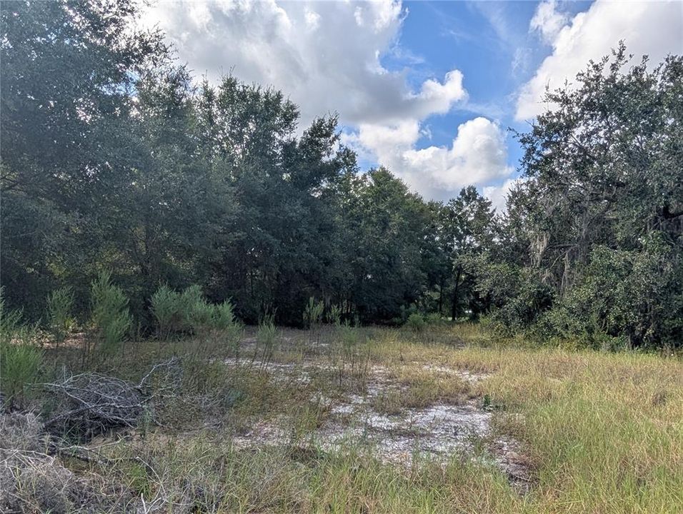 На продажу: $63,900 (2.70 acres)