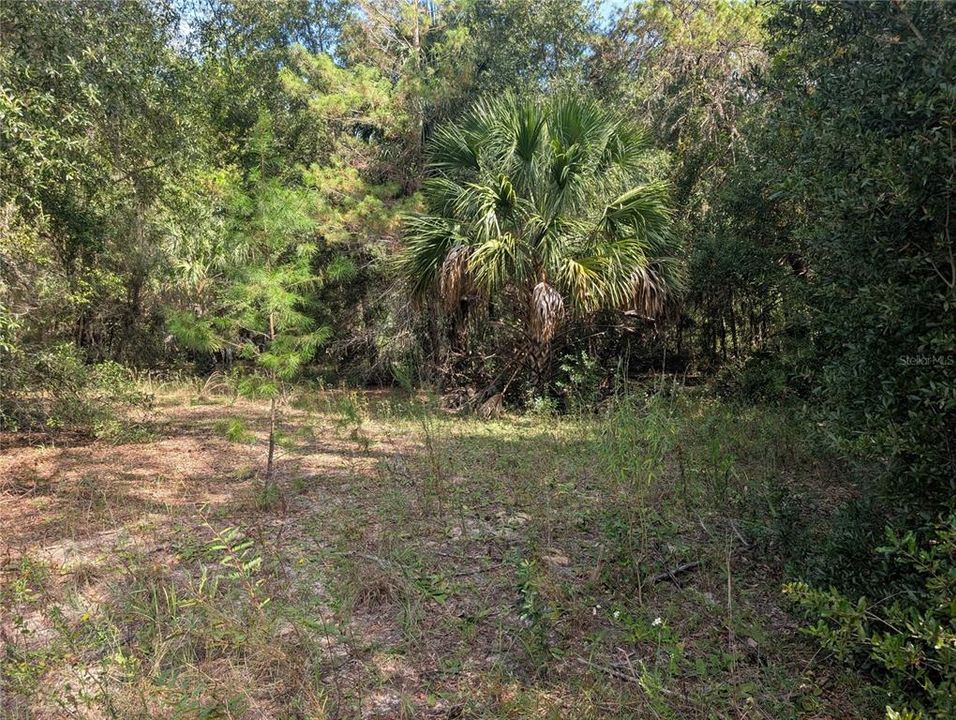 На продажу: $63,900 (2.70 acres)