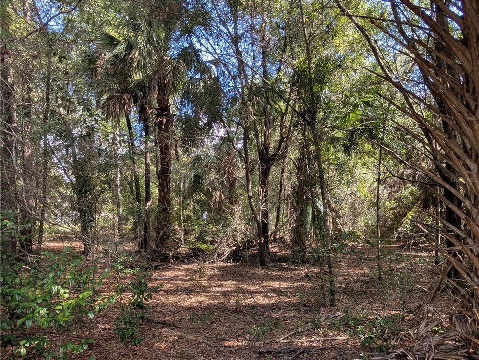 На продажу: $63,900 (2.70 acres)