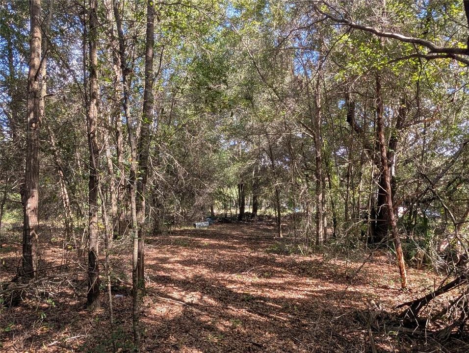 На продажу: $63,900 (2.70 acres)