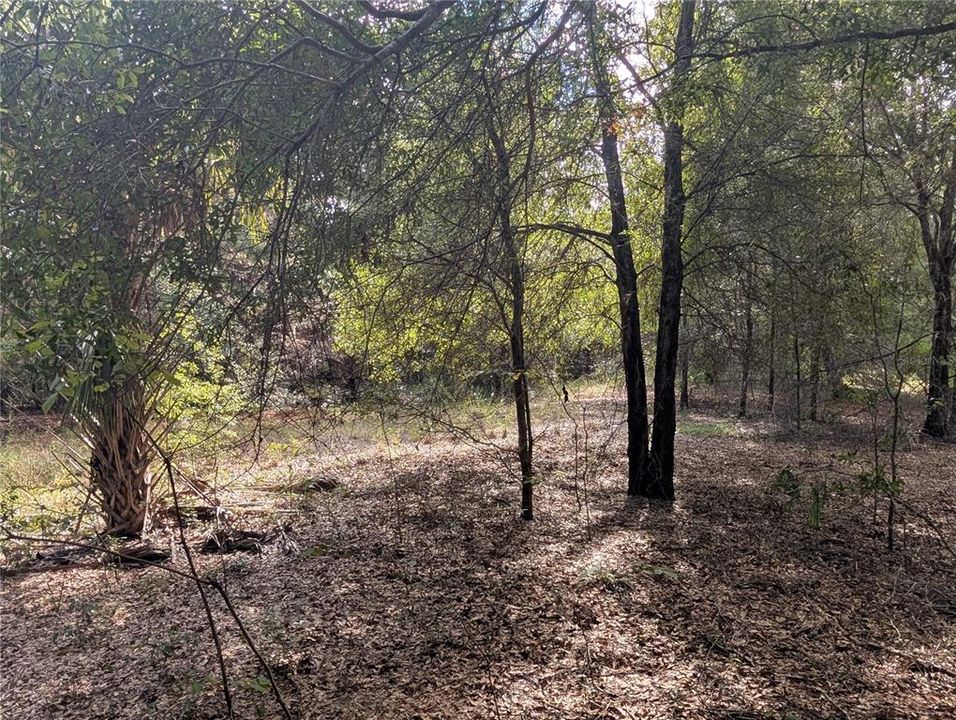 На продажу: $63,900 (2.70 acres)