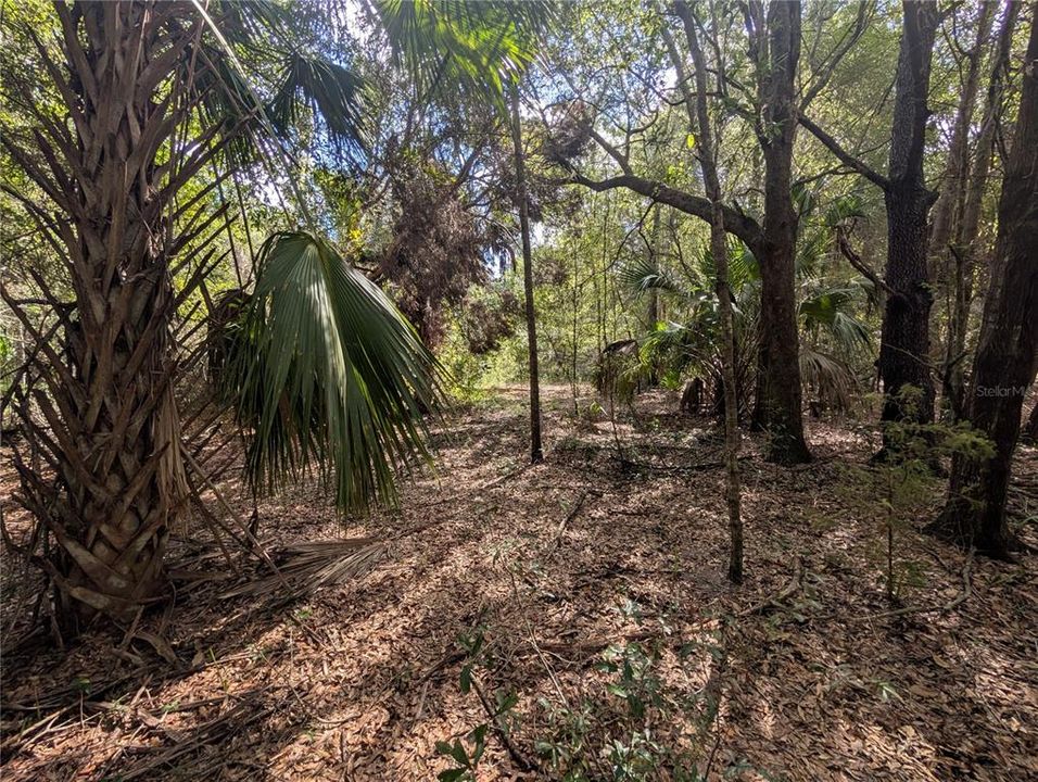 На продажу: $63,900 (2.70 acres)